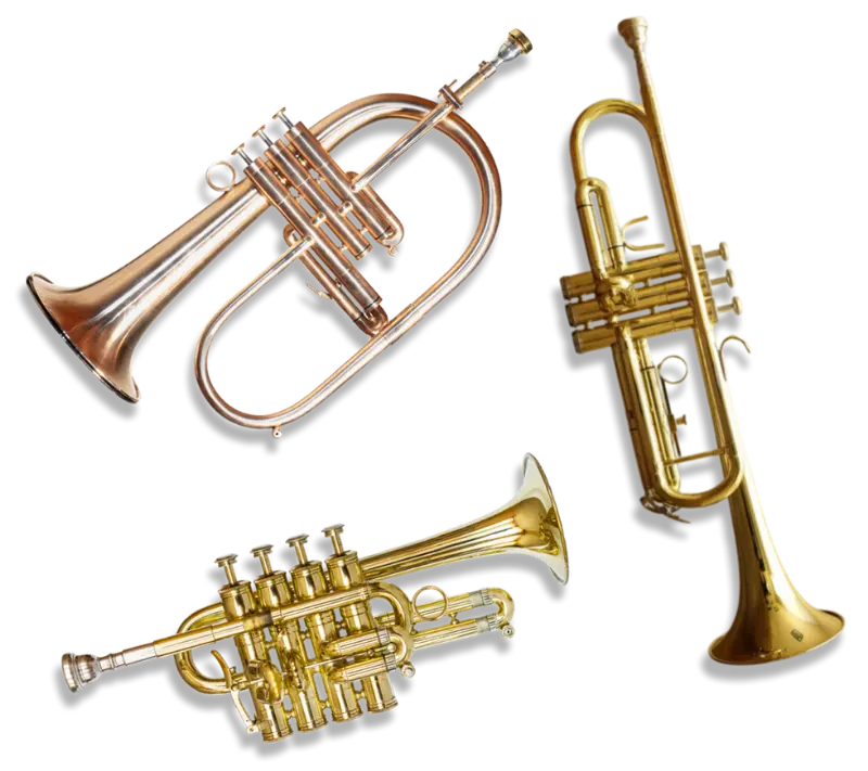 Une trompette, une trompette piccolo et un bugle