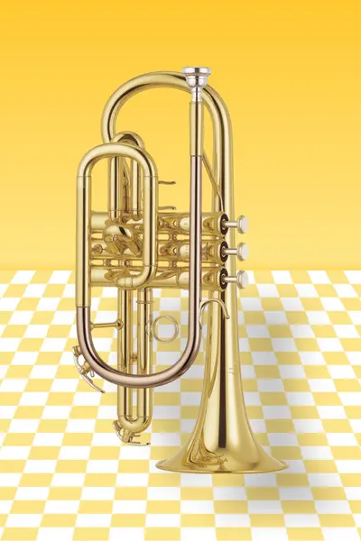 Cornet